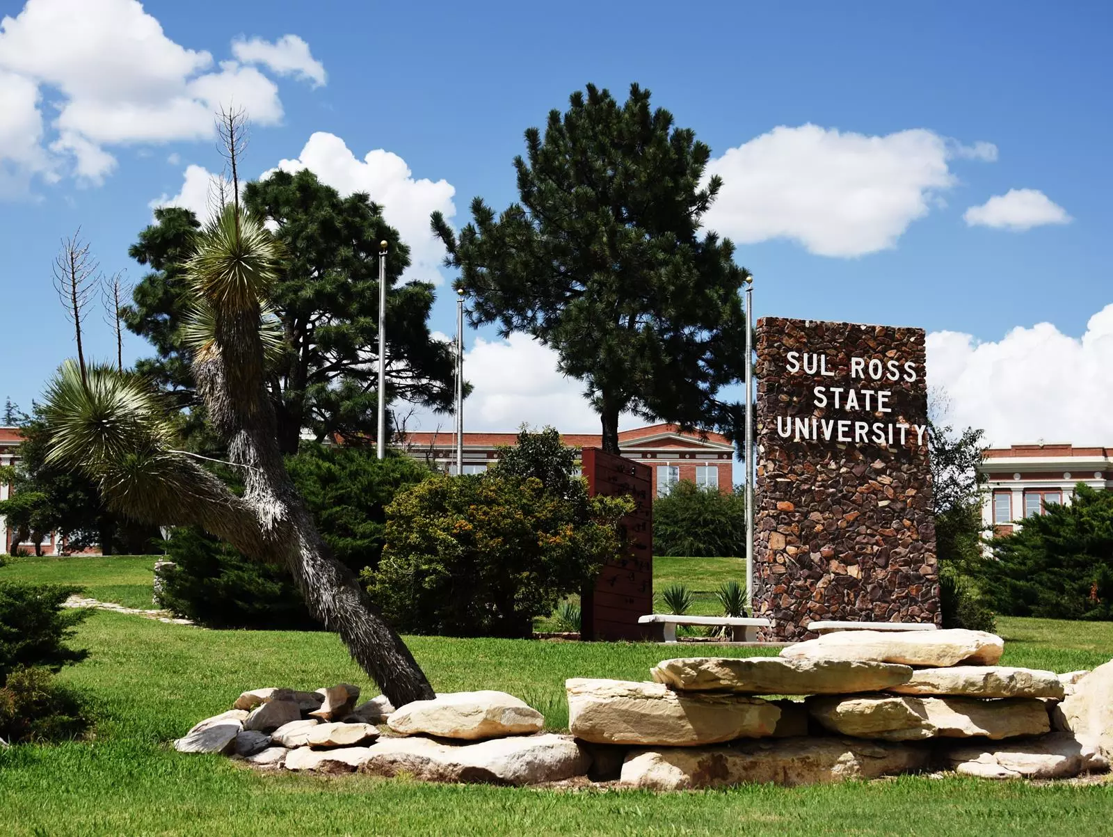 Review Sul Ross State University: Giảng đường giữa đại ngàn và bệ phóng thực nghiệm miền Tây nước Mỹ 2026