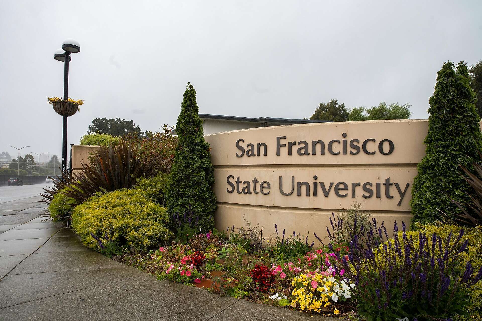 Review San Francisco State University: Sức mạnh của sự đa dạng và tư duy thực tiễn 2026